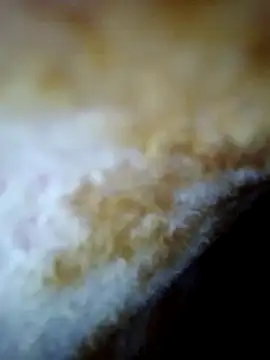 Snapshot of alone_boy802 chatting on October 2025 06:26:02 AM alone boy802 online show from October 2025 06:26:02 AM