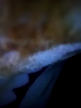 Snapshot of alone_boy802 chatting on November 2025 12:54:01 AM alone boy802 online show from November 2025 12:54:01 AM