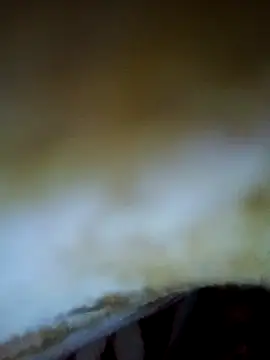 Snapshot of alone_boy802 chatting on November 2025 04:19:01 PM alone boy802 online show from November 2025 04:19:01 PM