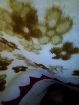 Snapshot of alone_boy802 chatting on November 2025 07:30:01 AM alone boy802 online show from November 2025 07:30:01 AM