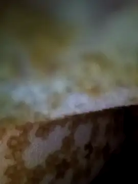 Snapshot of alone_boy802 chatting on November 2025 01:15:01 AM alone boy802 online show from November 2025 01:15:01 AM