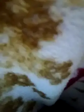 Snapshot of alone_boy802 chatting on November 2025 04:49:01 PM alone boy802 online show from November 2025 04:49:01 PM