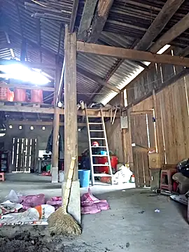 Snapshot of xuxulovezz chatting on March 2026 07:48:02 AM xuxulovezz online show from March 2026 07:48:02 AM