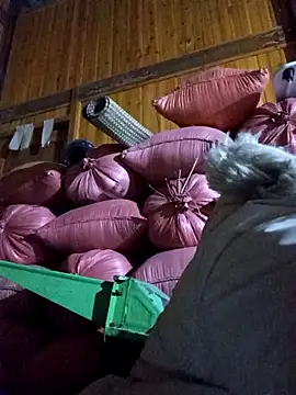 vtmbae online show from January 2026 12:20:02 PM