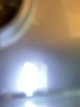 miumiu-66 online show from April 2026 09:12:02 AM