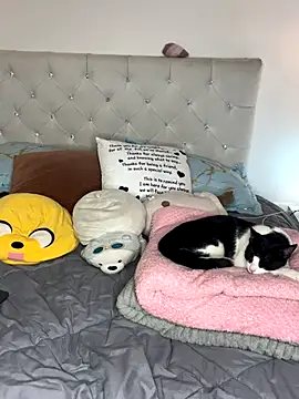 sunnymoonn 1 online show from October 2025 08:05:02 PM