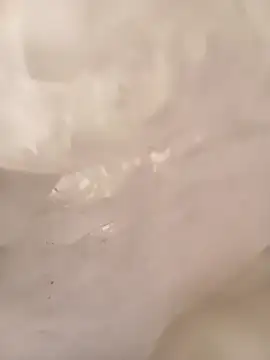 ruiiizz online show from March 2026 06:45:02 PM