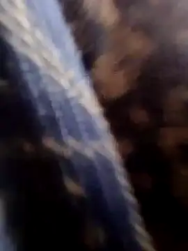 Rs sonam online show from January 2026 04:05:02 AM