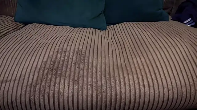 nogard ncb online show from October 2025 08:03:01 AM