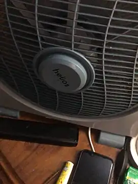 -bunny06 online show from October 2025 07:10:02 PM