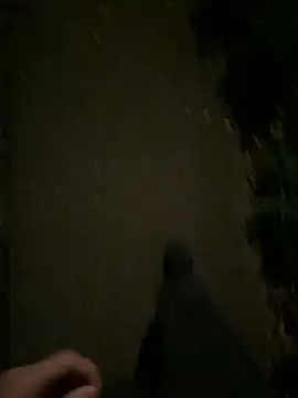 Snapshot of ncjuice_ chatting on October 2025 10:00:01 PM ncjuice online show from October 2025 10:00:01 PM