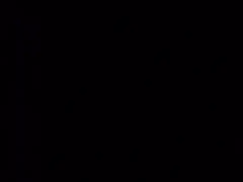 Curious9884 online show from March 2026 02:57:01 PM