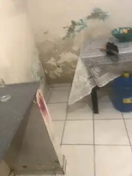 -  gozada online show from October 2025 12:02:02 PM