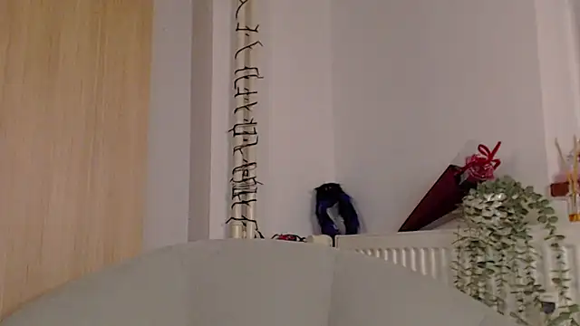 adacgrey online show from February 2026 04:29:01 PM