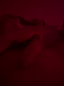 Snapshot of nieonixpeek19 chatting on February 2026 09:13:01 PM nieonixpeek19 online show from February 2026 09:13:01 PM