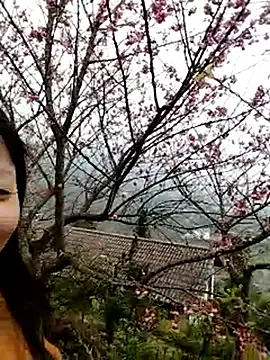 sumaybae online show from January 2026 05:42:01 AM