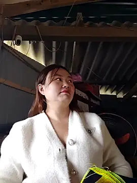 pi-pi-00 online show from December 2025 02:16:01 AM