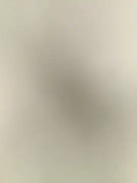 Anchal-8798 online show from December 2025 06:14:01 PM