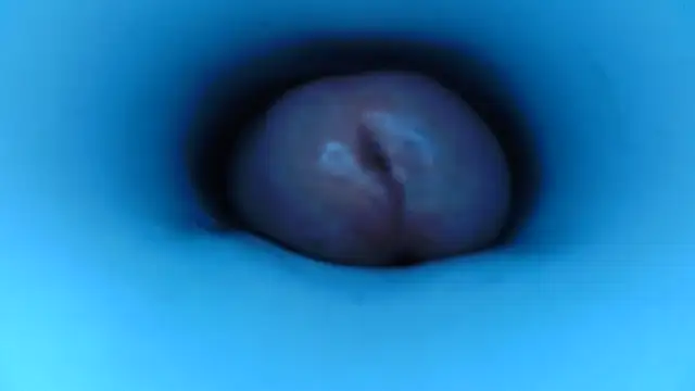 pedrolatino20cm online show from December 2025 02:21:01 PM