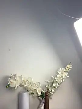 Snapshot of Candy_Brown69 chatting on October 2025 12:01:02 PM Candy Brown69 online show from October 2025 12:01:02 PM