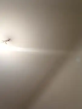 labellerose online show from January 2026 05:59:01 PM