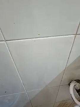 Snapshot of crawlerdrill chatting on February 2026 02:50:02 AM crawlerdrill online show from February 2026 02:50:02 AM