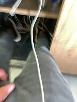 arasazgin online show from March 2026 12:19:02 PM