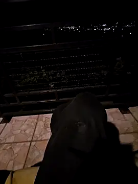 SamoSkupo online show from October 2025 08:10:01 PM