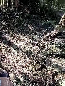 228fucker online show from January 2026 07:43:02 AM