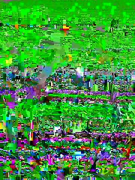 FaixaRosa11 online show from October 2025 11:16:01 PM