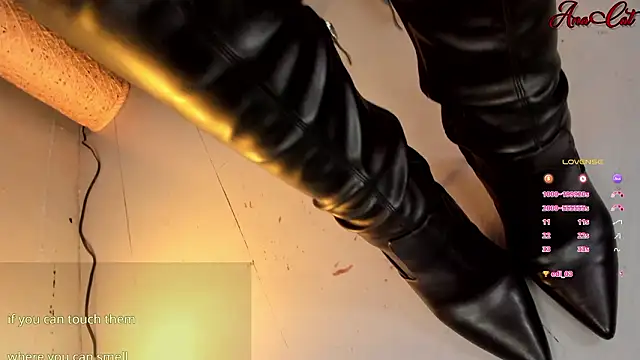 ana cat online show from March 2026 03:51:01 PM