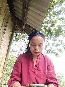 Nguyet2k4 online show from November 2025 01:49:02 AM