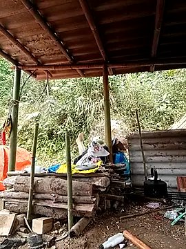 -Kem-01 online show from February 2026 06:35:02 AM