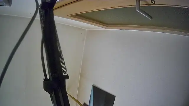 Snapshot of bull419M chatting on October 2025 09:45:01 AM bull419M online show from October 2025 09:45:01 AM