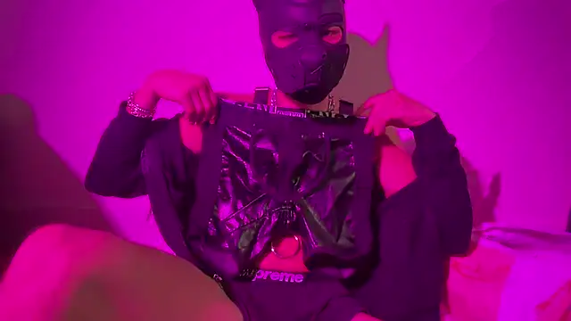 Snapshot of the_masked_pup chatting on October 2025 05:07:02 AM the masked pup online show from October 2025 05:07:02 AM