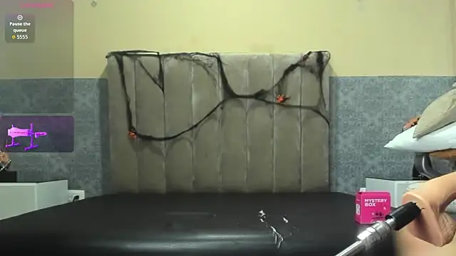 Xavier Fox    online show from October 2025 05:30:01 AM