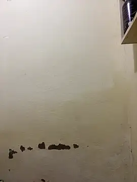 yoryy07 online show from March 2026 02:00:01 PM