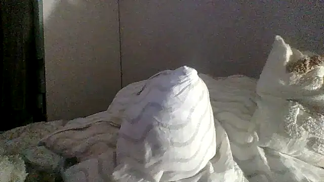 Snapshot of Lolaaa17740 chatting on November 2025 11:37:01 PM Lolaaa17740 online show from November 2025 11:37:01 PM