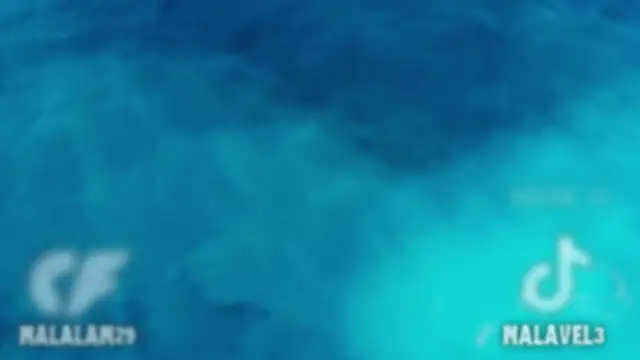 Nalan   online show from February 2026 06:06:02 AM