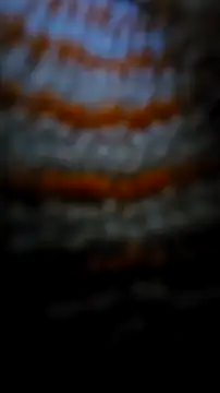 Sexecochon online show from December 2025 02:03:01 PM