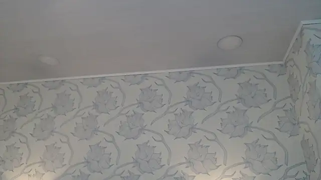 Rachellparker  online show from December 2025 11:19:01 AM