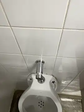 Snapshot of novinhosglbi chatting on November 2025 12:21:01 AM novinhosglbi online show from November 2025 12:21:01 AM