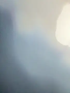 wellingtonmds online show from December 2025 01:03:01 AM