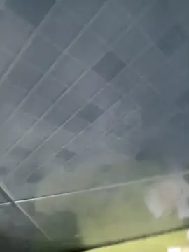 INTIMACY123 online show from November 2025 03:20:02 AM