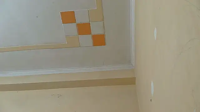 Dirty dol online show from February 2026 04:08:01 AM