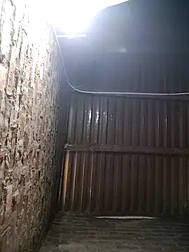 Bear bear0 online show from January 2026 12:38:01 AM