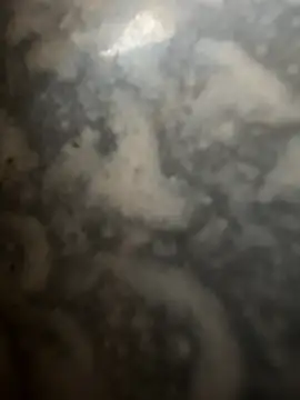 Snapshot of bart98geil chatting on February 2026 07:26:01 AM bart98geil online show from February 2026 07:26:01 AM