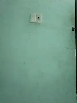  LAN  online show from November 2025 01:19:01 AM