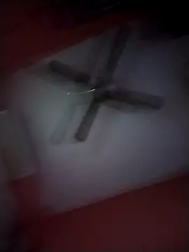 Danii2005 online show from November 2025 08:09:01 PM