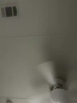 D13ON3L online show from November 2025 08:03:02 AM